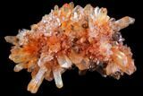 Orange Creedite Crystal Cluster - Durango, Mexico #79381-1